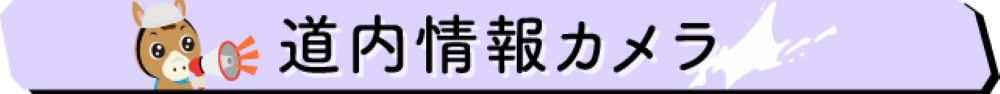 道内情報カメラ