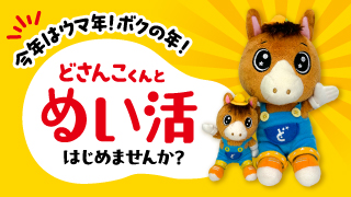 ぬいかつ