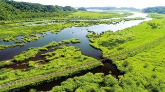 厚真町