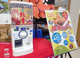 枝幸町