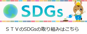 STV SDGs