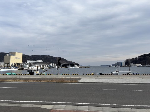 北海道ライブ あさミミ！