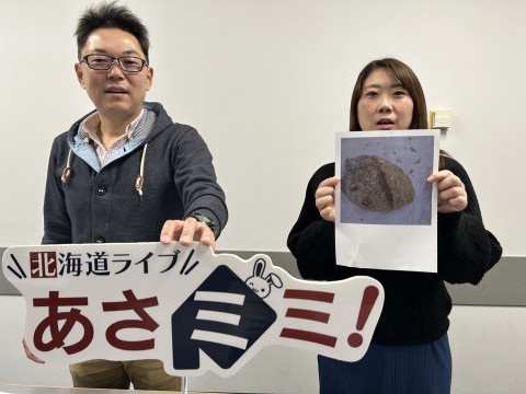 北海道ライブ あさミミ！