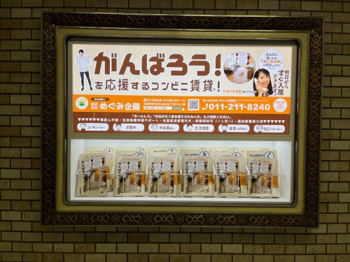 megumipress