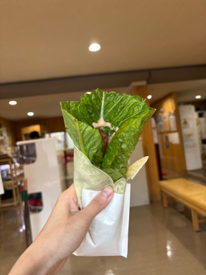 テキスト