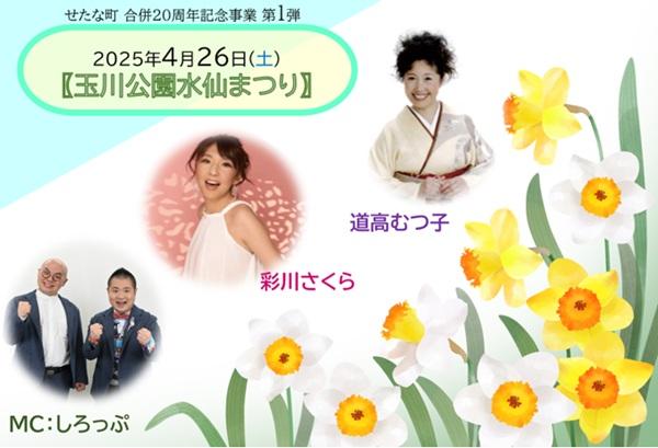 せたな町水仙