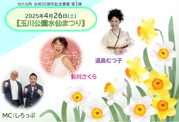 せたな町水仙
