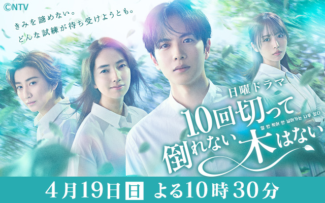 10回切って倒れない木はない