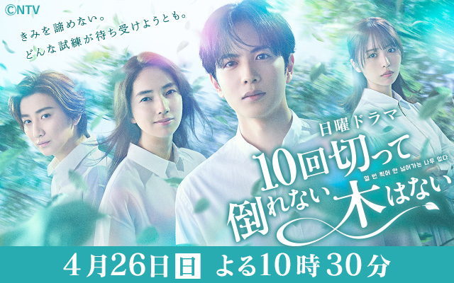 １０回切って倒れない木はない