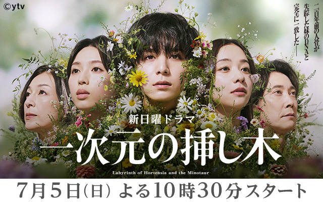 一次元の挿し木