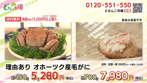 理由あり　毛がに