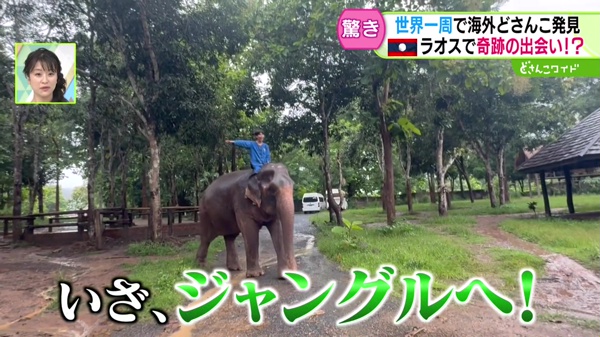 特集