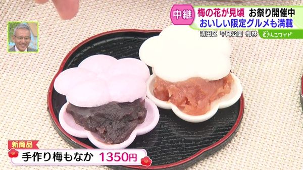 梅の花が見頃！お祭り開催中！おいしい限定グルメ満載！