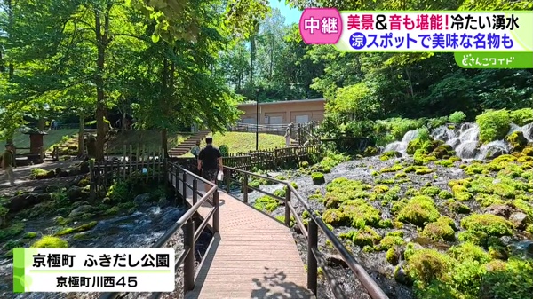 どさんこワイド179 中継画像