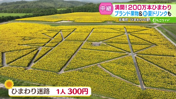 中継