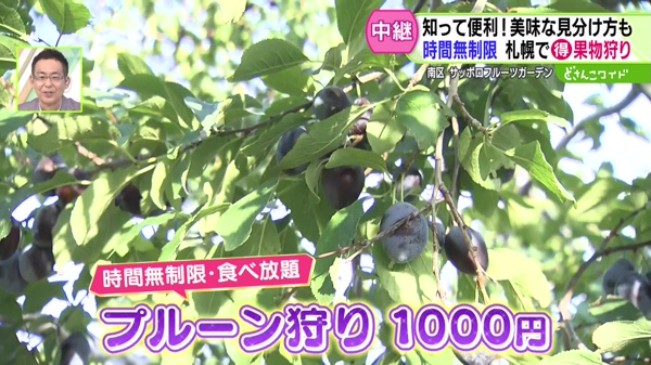 中継