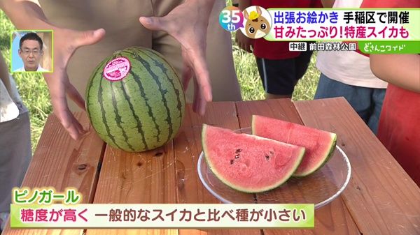 旬の野菜や果物発見！お得な野菜直売所 札幌10区キャラバン in 手稲区