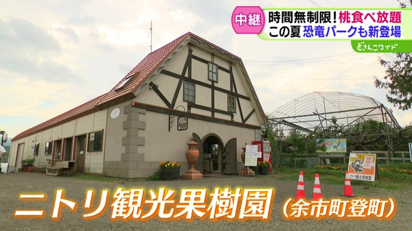 どさんこワイド179 中継画像