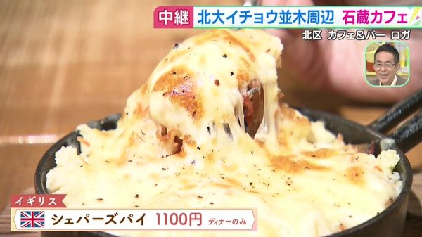 色づくイチョウ並木！北大周辺の石蔵カフェ