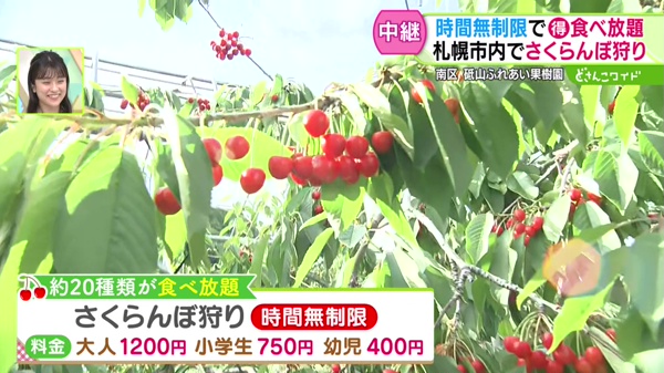 中継画像