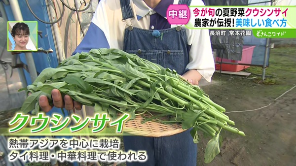 クウシンサイ