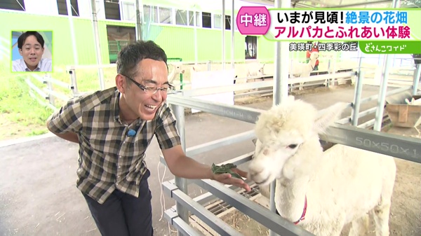 福永中継ウィーク第1弾！いまが見頃！美瑛・絶景の花畑