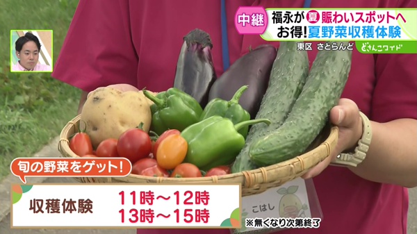 収穫体験