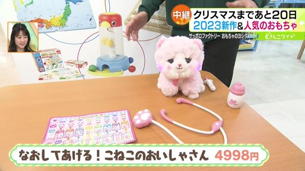 ●なおしてあげる！こねこのおいしゃさん 4998円