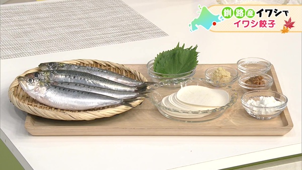材料