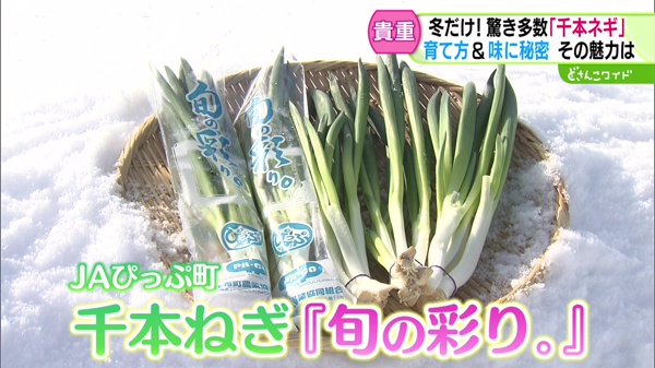 ときめき野菜通信〜いまが旬の極上野菜“復活するネギ”とは！？