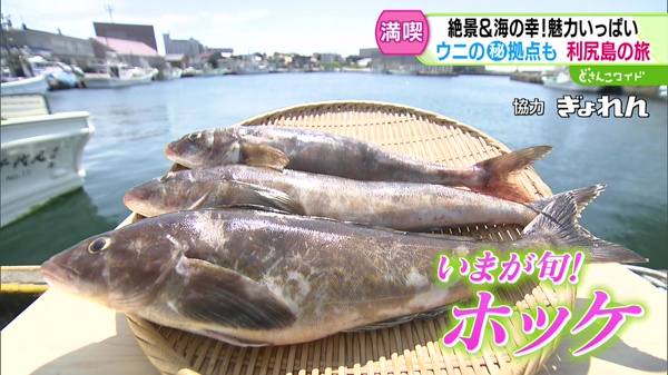 tokusyuu 