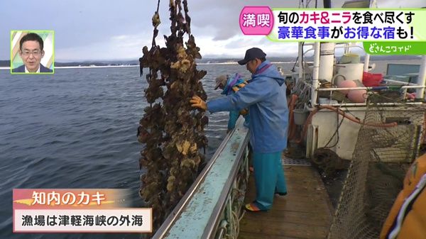 産地直送！浜の王様〜旬のグルメを食べ尽くす！道南・知内 二大名物巡り旅