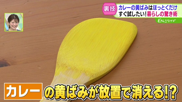 どさんこワイド179 特集画像