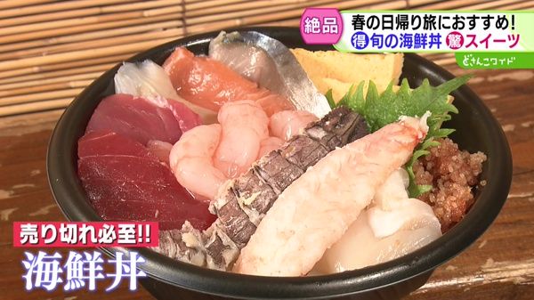 産地直送！浜の王様〜春の日帰り旅におすすめ！留萌の名店・名物めぐり