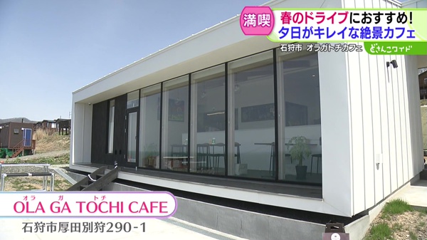 どさんこワイド179 特集画像