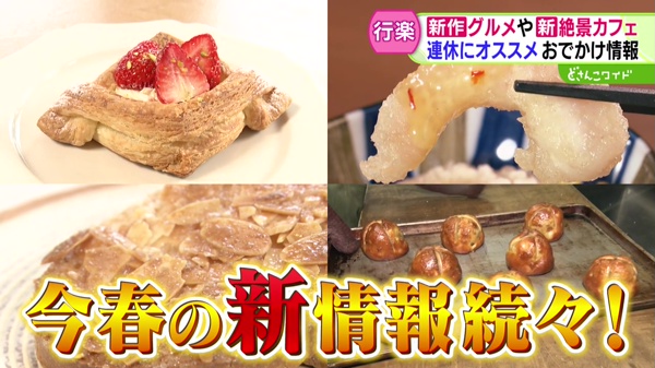 どさんこワイド179 特集画像