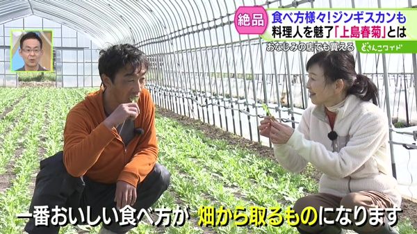 ときめき野菜通信〜絶品！ジンギスカンも！料理人を魅了“上島春菊”の凄さ