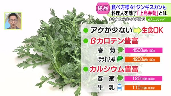 ときめき野菜通信〜絶品！ジンギスカンも！料理人を魅了“上島春菊”の凄さ