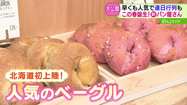 どさんこワイド179 特集画像