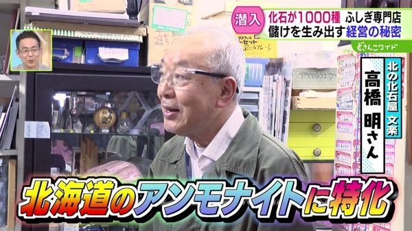 客足なくても心配無用！儲かってるの？不思議な専門店〜化石の専門店