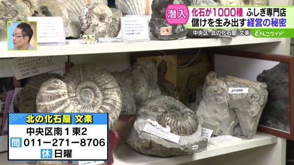 客足なくても心配無用！儲かってるの？不思議な専門店〜化石の専門店