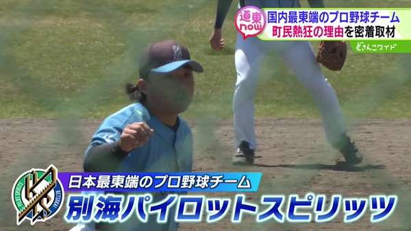 どさんこワイド179 特集画像
