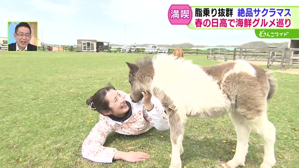 特集