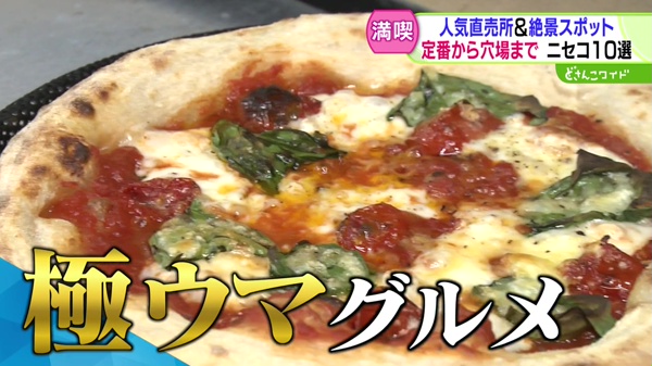 どさんこワイド179 特集画像