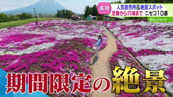 特集