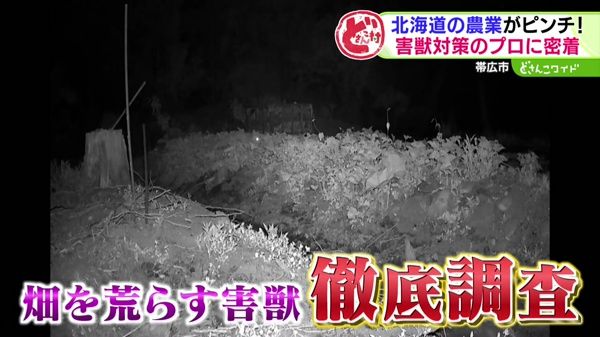 どさんこ村通信〜 害獣のプロに密着＆巨大工場に潜入！