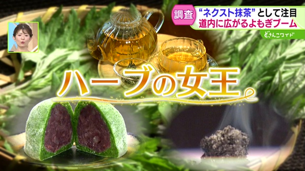 どさんこワイド179 特集画像