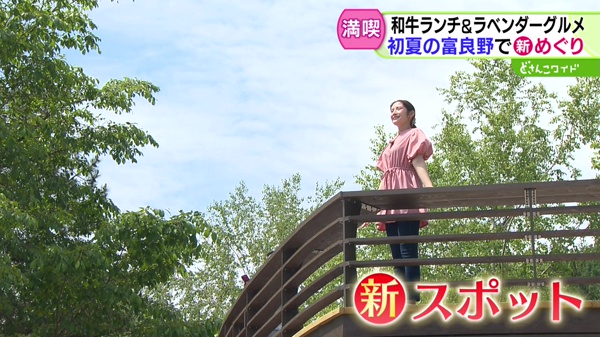 どさんこワイド179 特集画像