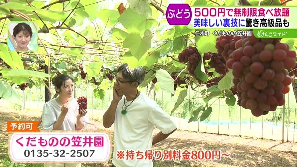 旬のぶどう激安食べ放題＆マル秘保存法！