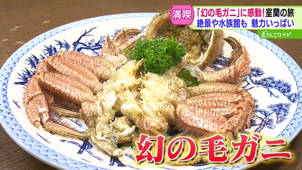どさんこワイド179 特集画像